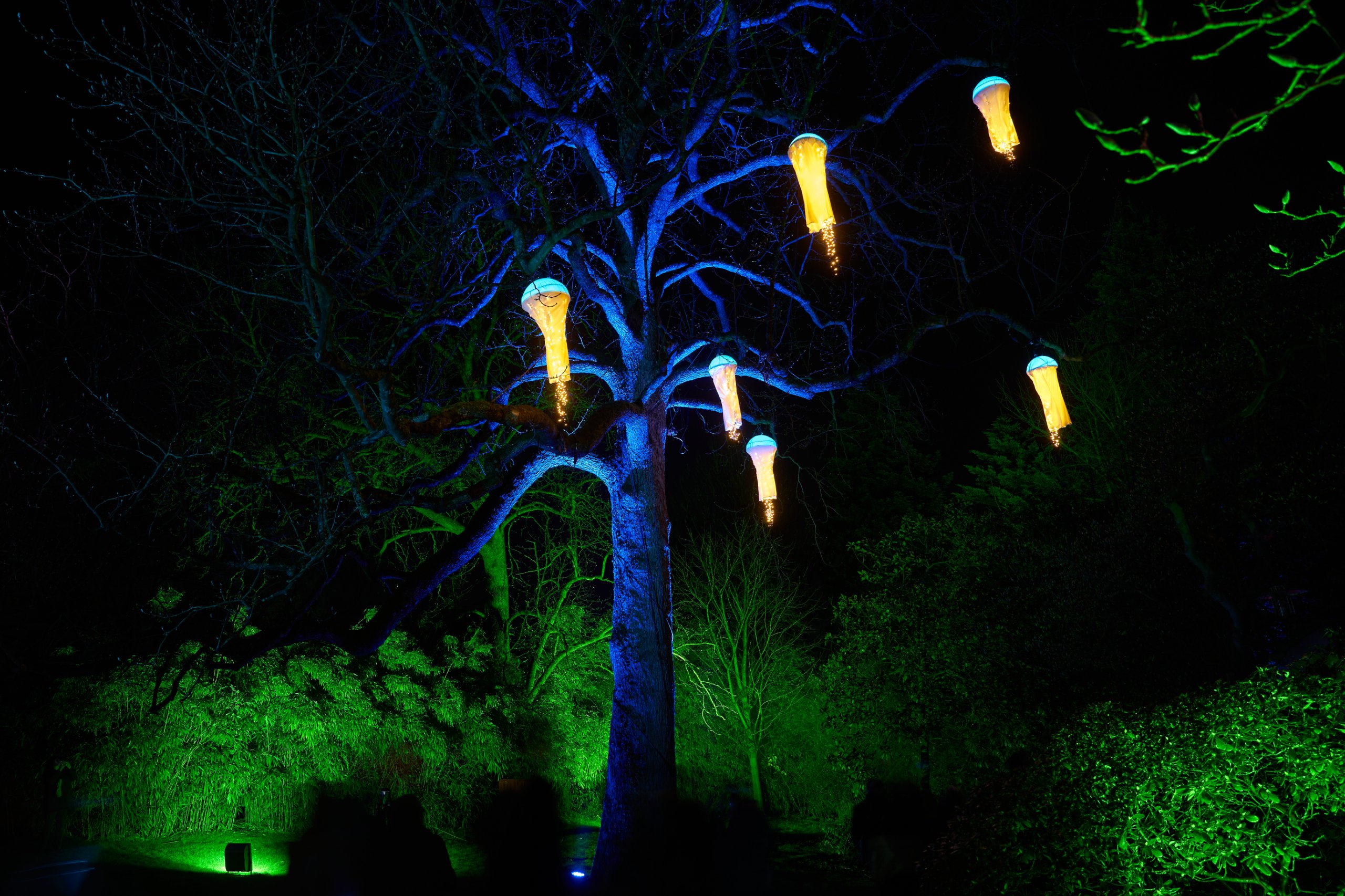 2024 02 23 Parkleuchten 0082